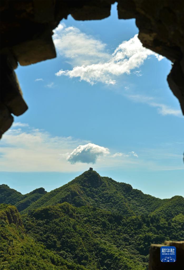 菲律宾共赢集团